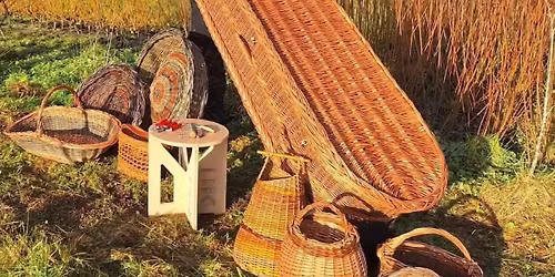 The Living Willow Journey