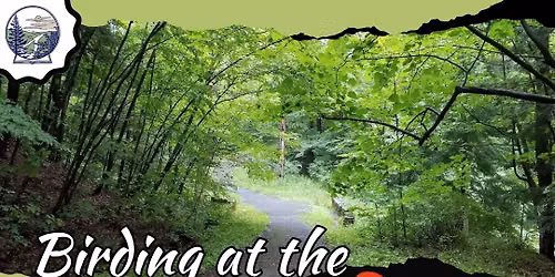 Birding Hike at the IBM Glen