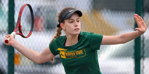 Parking Delaware State Hornets at Longwood Lancers Mens Basketball