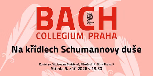 Na k\u0159\u00eddlech Schumannovy du\u0161e