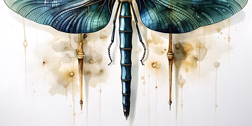 Service with Hana Shoup