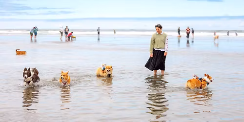 2026 Corgi Beach Takeover - \u201cTBD\u201d