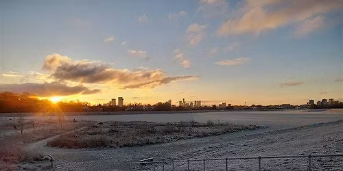 Kersal Wetlands Winter Walk