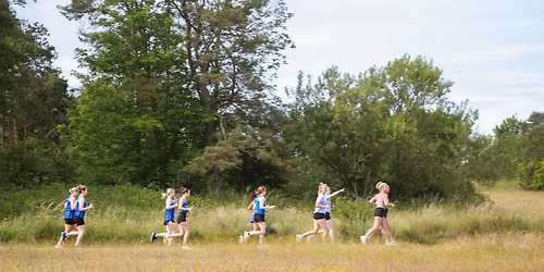 WILD DEER RUNNING SESSION - NEWBURN LEISURE CENTRE