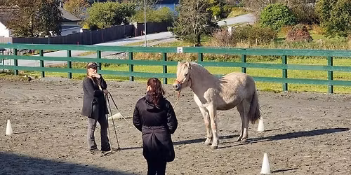 Privattimer med Sigrid Ritland - Klovning Gard