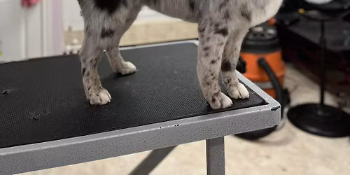 Teeth cleaning clinic 