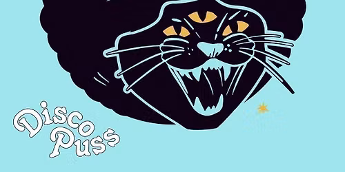 DISCO PUSS Bristol Launch w\/ TOUCH OF FUNK "All Night Long" - Bristol Debut