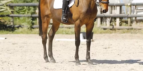 Spring Dressage Series (1)