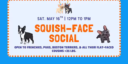 Squish-Face Social