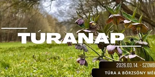 T\u00fara a B\u00f6rzs\u00f6ny m\u00e9ly\u00e9n