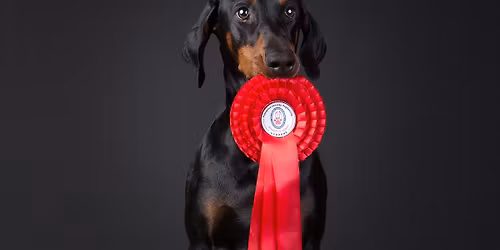 Jarn\u00ed dogdancingov\u00e9 zkou\u0161ky v Jen\u0161tejn\u011b