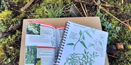Botanical Illustrations and Explorations - 1 Day Class