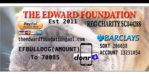 Potteries Woof and Paws Trentham Trundle