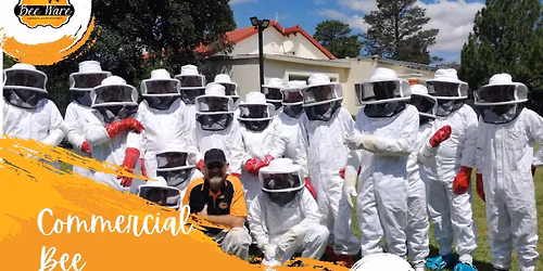 Commercial Bee Removal Course