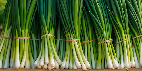 Ellsworth Farmers Market 