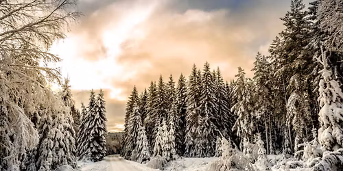 Holiday Flow (at Chace Mill & Virtual)