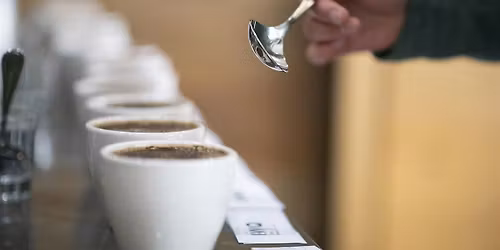 Calibration Cupping  - January 15, 2026