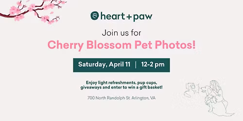 Cherry Blossom Pet Photos