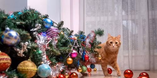3rd Annual Whiskers Wonderland