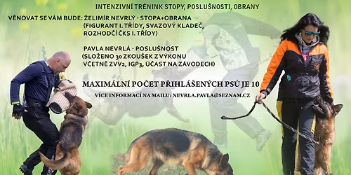 V\u00fdcvikov\u00fd v\u00edkend