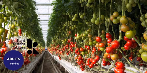 Let\u2019s Talk about Tomatoes: America\u2019s Favorite Fruit