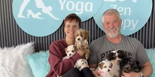 Pop-Up Puppy Yoga with Toy Havapoos and Mini Golden Doodles