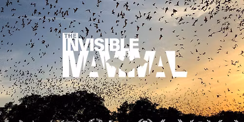 "Invisible Mammal" film screening