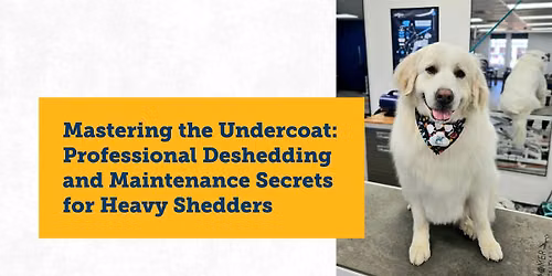 Mastering the Undercoat: Professional Deshedding and Maintenance Secrets for Heavy Shedders