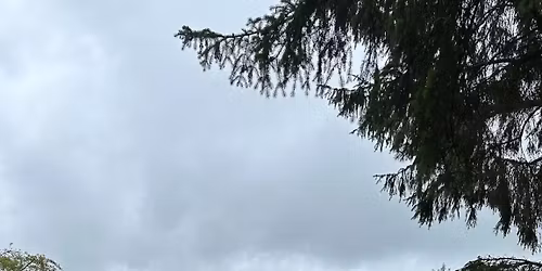 Walkers Clough to Lost Lad, Back Tor and Abbey Brook -10 miles