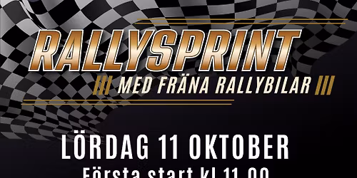 Rallysprint lördag 11 oktober på Årjängs travbana