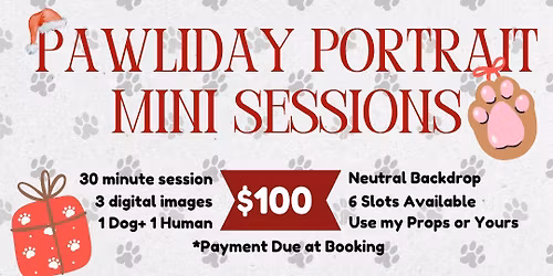Pawliday Portrait Mini Session