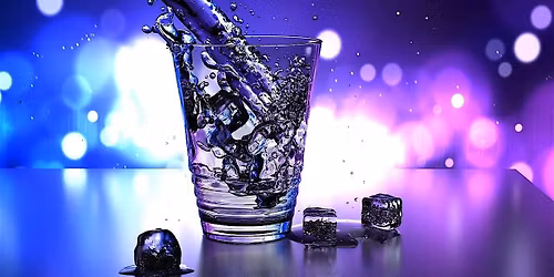 Panel de discussion sur la marchandisation de l'eau au Qu\u00e9bec