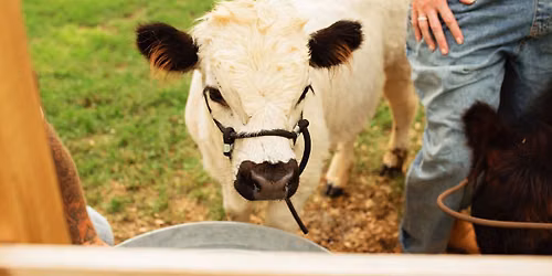 Fall on the Farm with Petals at Gertz Farm