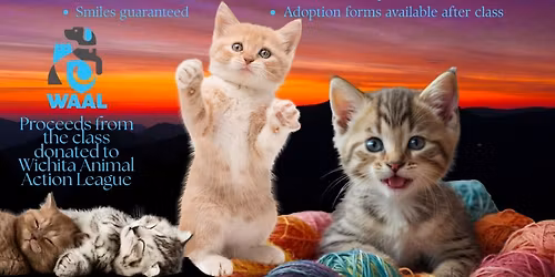 🐾 Kitten “Flow” Yoga at Connect With Source 🧘♀️