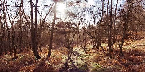 Autumn Splendour! | Guided Walk