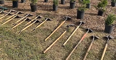 Volunteer Tree Planting - Trees 4 Life West Nose Creek Park