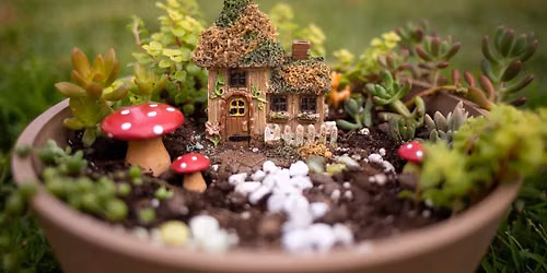 Enchanted Fairy Gardens (Grades 4-6)