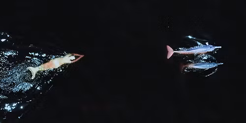 Er\u00f6ffnung: Emilija \u0160karnulyt\u0117. Waters call me home