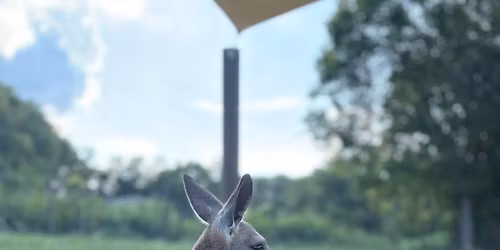 1st Anniversary + Customer Appreciation Day