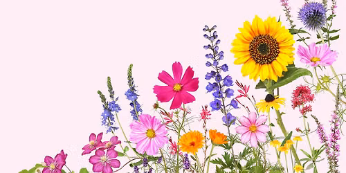 Dunboyne Court in Bloom Summer Fayre