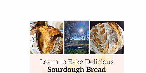 Intro to Sourdough Bread Baking