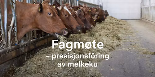 Fagm\u00f8te \u2013 Presisjonsf\u00f4ring av melkeku