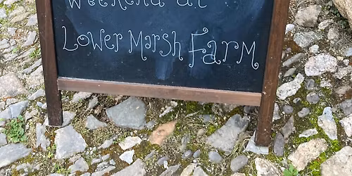 Holiday for you to escape the fireworks with your nervous or reactive dog! 