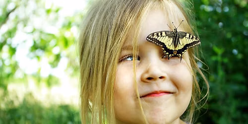 Mothscapes for Kids