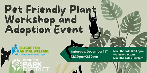 Pet Friendly Plant Workshop