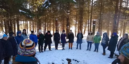 Retreat by Naomi Gold - Surrender: A Women's Retreat of Forest, Fire + Feminine Renewal