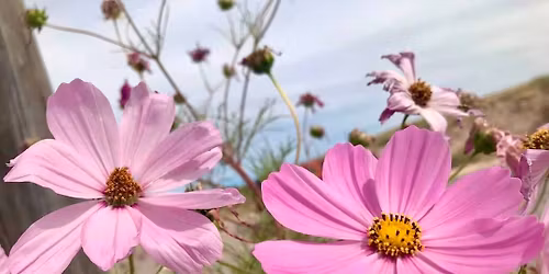 Women\u2019s Temazcal Ceremony 