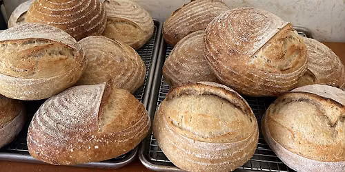 Sourdough Bread Class for Bell Tower Brewing Co.
