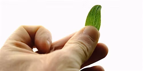 NWT Sweet Briar Marshes - Foray into folklore (Adult event)