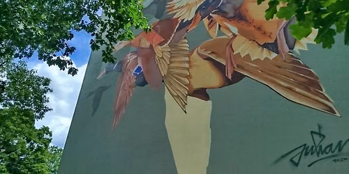 Langwasser Guides - Die Geschichte Langwassers in der Streetart 